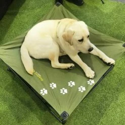 Large Dog Bed -Snowys Sales 0030669 large dog bed