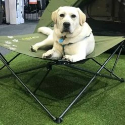 Large Dog Bed -Snowys Sales 0030670 large dog bed