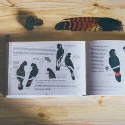 Where Birds Sing And Wildflowers Dance − Jason Tyndall -Snowys Sales 1228542 where birds sing and wildflowers dance