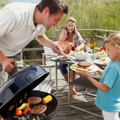 Bushman Insect Repellent Aerosol -Snowys Sales 1256269 insect repellent aerosol