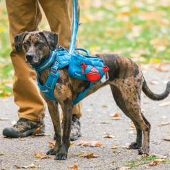 Kurgo RSG Dog County Harness -Snowys Sales 1258315 rsg county harness coastal blue s