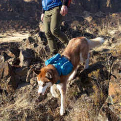 Kurgo RSG Dog County Harness -Snowys Sales 1258316 rsg county harness coastal blue s