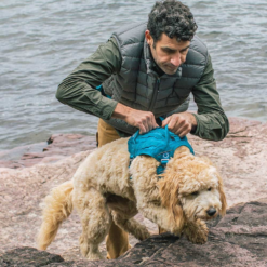 Kurgo RSG Dog County Harness -Snowys Sales 1259214 rsg county harness coastal blue s