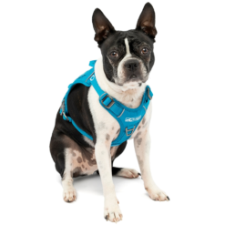 Kurgo RSG Dog County Harness -Snowys Sales 1259215 rsg county harness coastal blue s