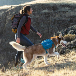 Kurgo RSG Dog County Harness -Snowys Sales 1259216 rsg county harness coastal blue s